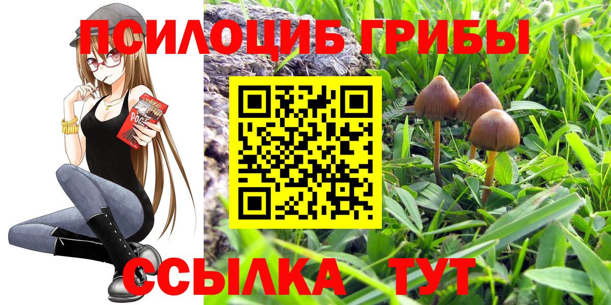 Псилоцибиновые грибы мухоморы  Галлюциногенные грибы Magic Shrooms  Вход с VPN  наркота  Южноуральск 